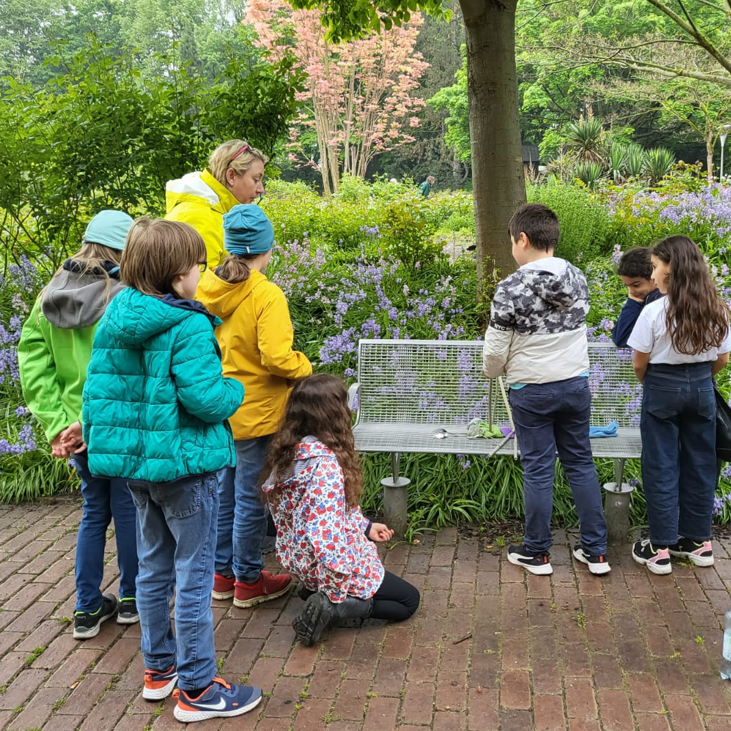 Tageskarten Herzogenriedpark für Schulen und Kindergärten