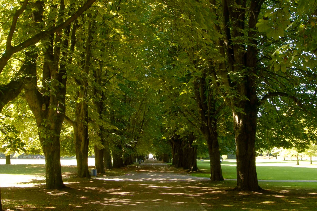 Bild für Tageskarten Herzogenriedpark